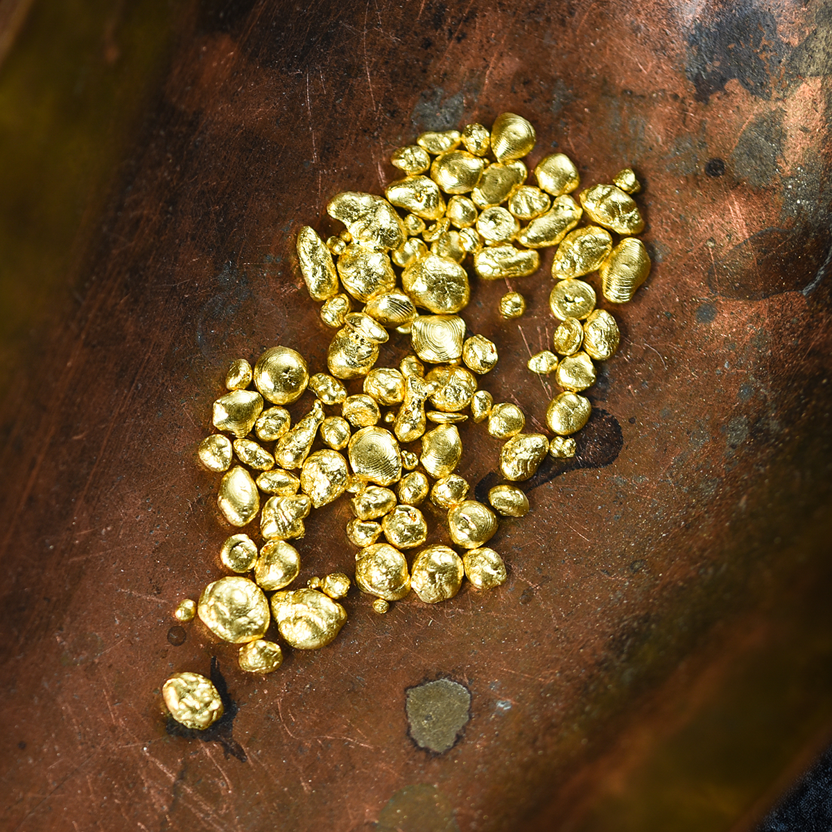 Feingold auf Kupferschale. Goldgranalien zum Schmelzen. 